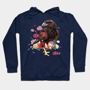 Parabuteo unicinctus Hoodie